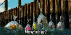 Newcomers after updating into Skip Ahead for the first time [​IMG]